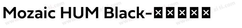 Mozaic HUM Black字体转换